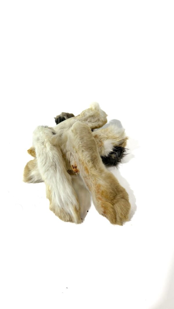 PATAS DE CONEJO