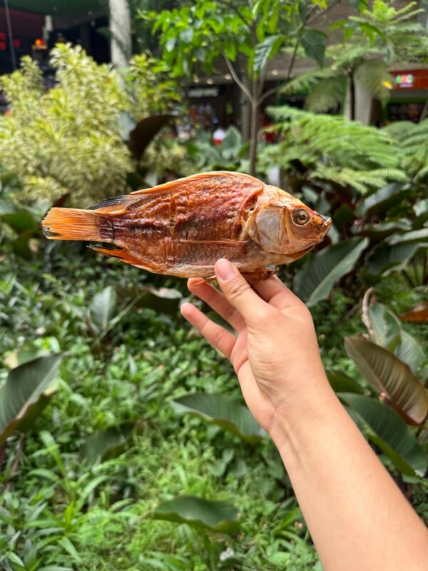 TILAPIA ENTERA