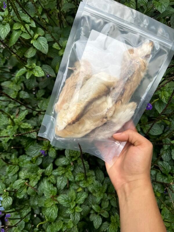 PATAS DE CONEJO